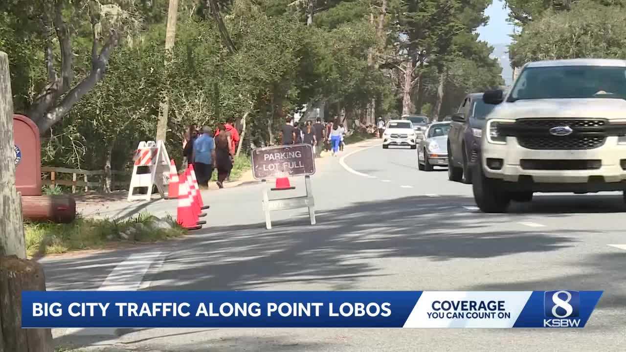 Point Lobos visitors face traffic gridlock, parking woes as calls for help rise