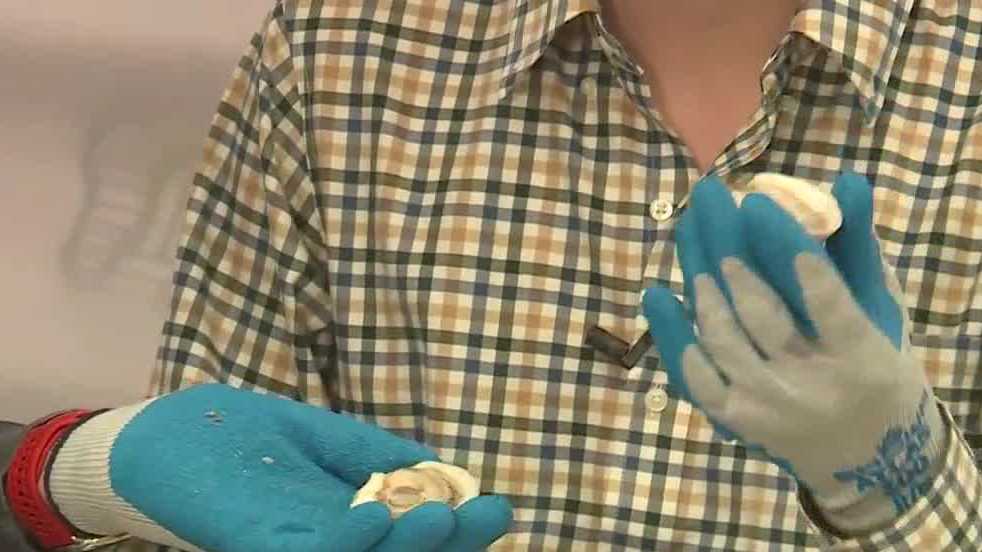 First days of the Maine Oyster Festival busiest ever for the Freeport tradition