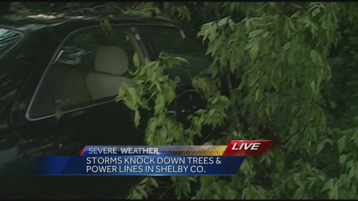 Storms knock down trees, power lines in Shelby County
