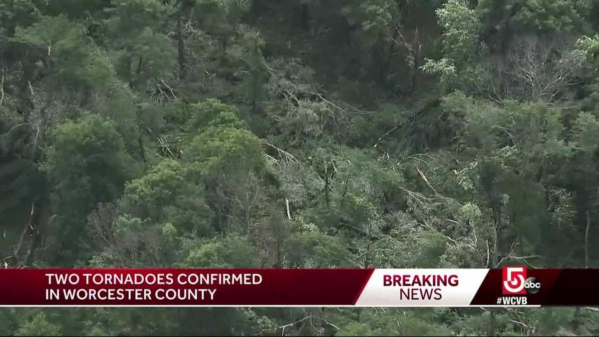 Tornadoes tore off roof, knocked down trees