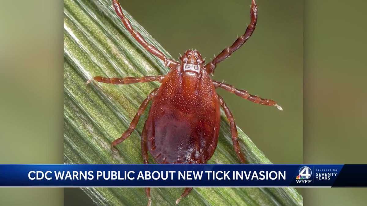 South Carolina Invasive tick species spotted