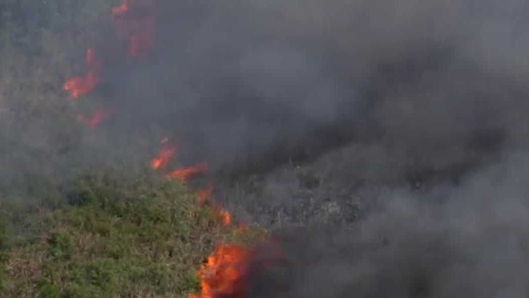 Wildfire near Palm Beach County spreads across 100 acres