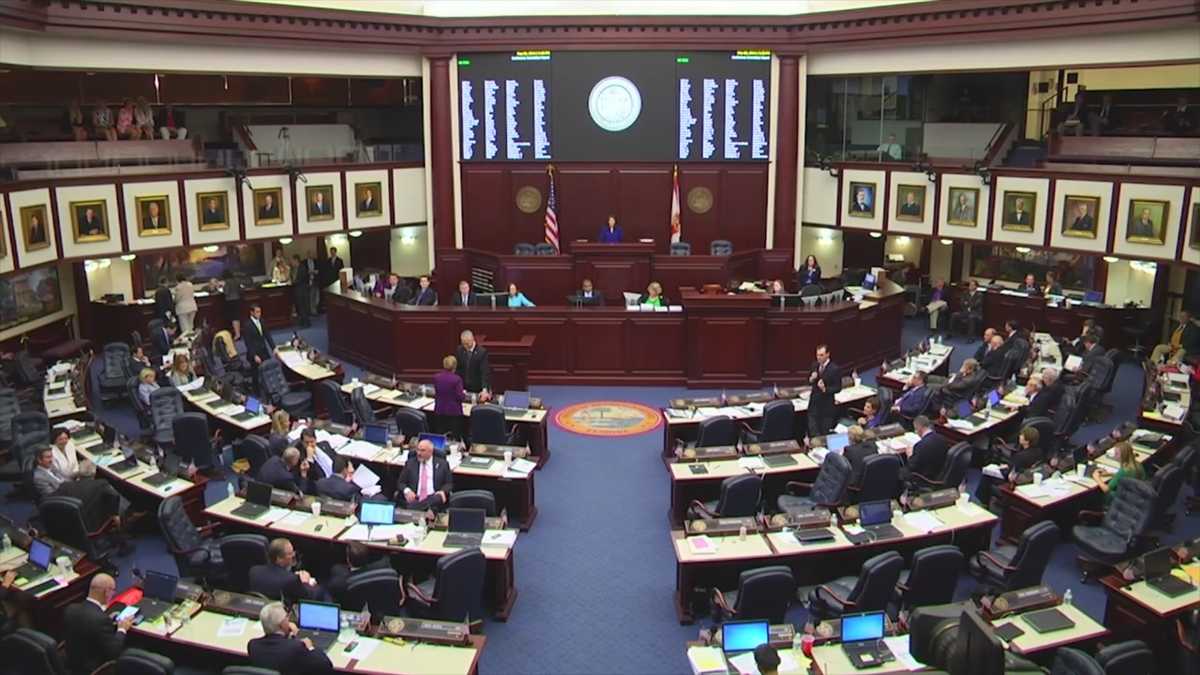 Experts say to vote despite congressional map issues