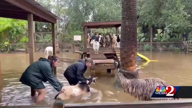 Gatorland to reopen this weekend after flooding - Vimarsana News