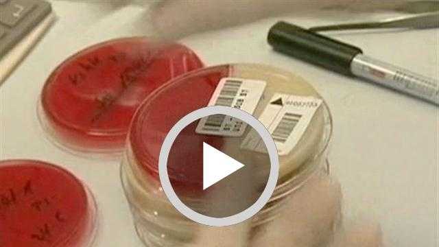Health Advisory Issued After E. Coli Outbreak