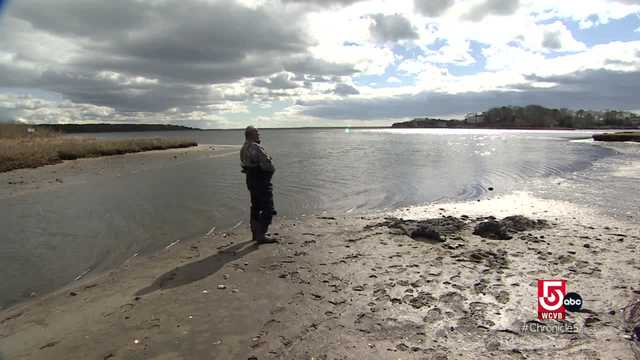 The historical love for oysters in New England - Vimarsana News