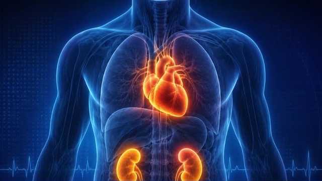 NCH announces Lee County's first heart and kidney transplant program