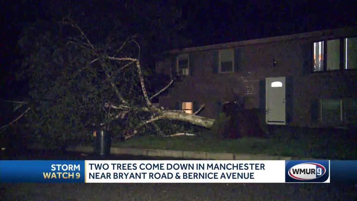 Storms bring down trees, wires across New Hampshire