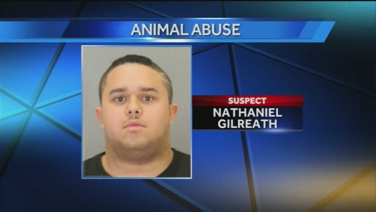 Man charged with felony animal abuse