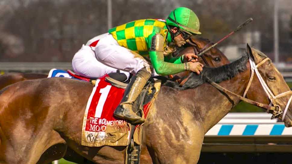 Iowaowned horse has good showing at Kentucky Derby Mo Donegal