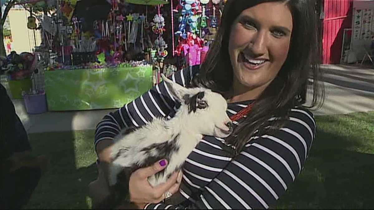 Expo New Mexico draws crowds with exotic petting zoo