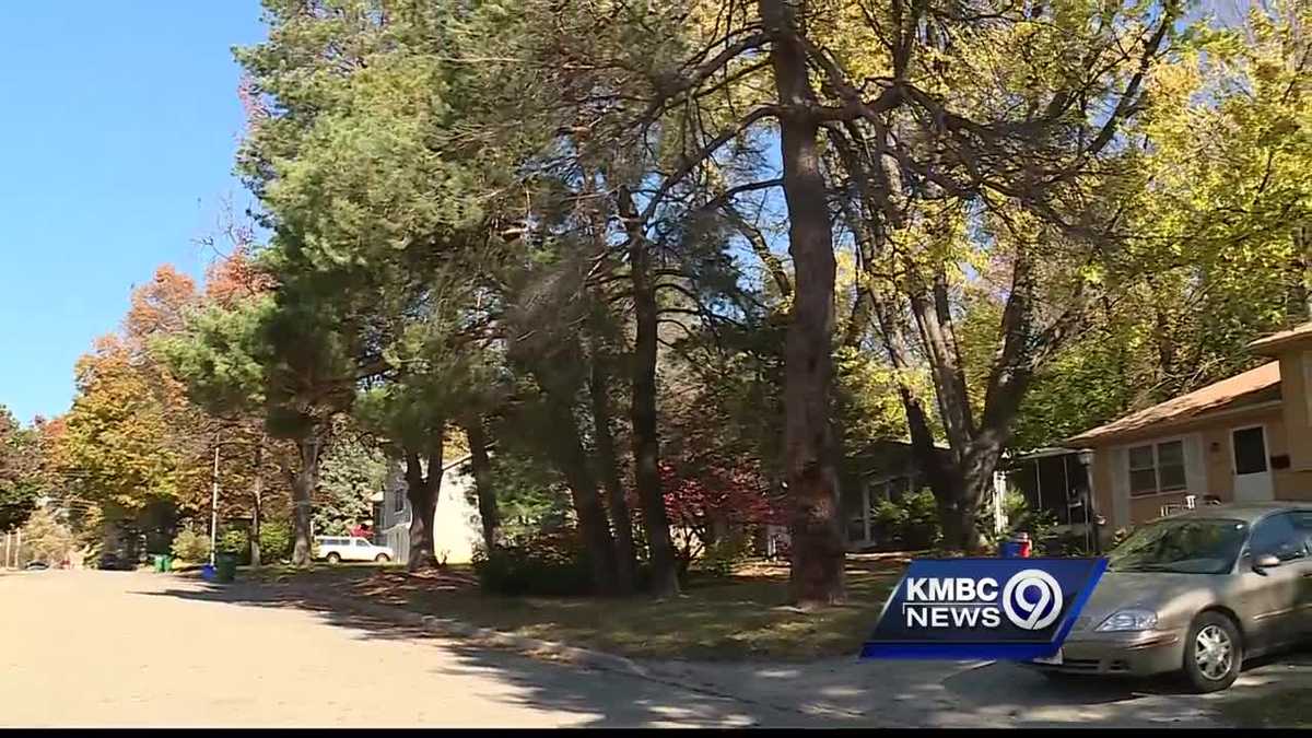 Roeland Park ready to rebrand itself