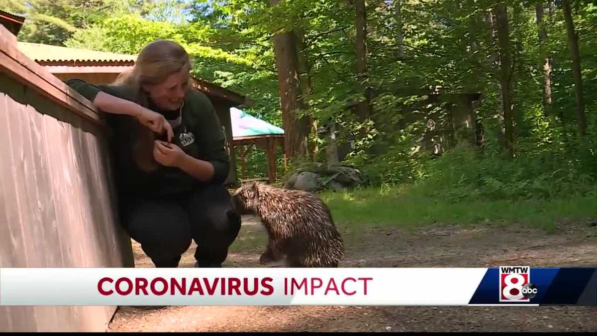 Cape Neddick's Center for Wildlife relying on donations during pandemic