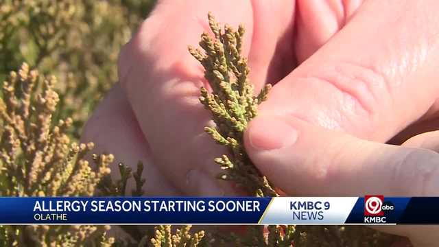 For Kansas City, a longer and earlier allergy season expected in 2023 - Vimarsana News