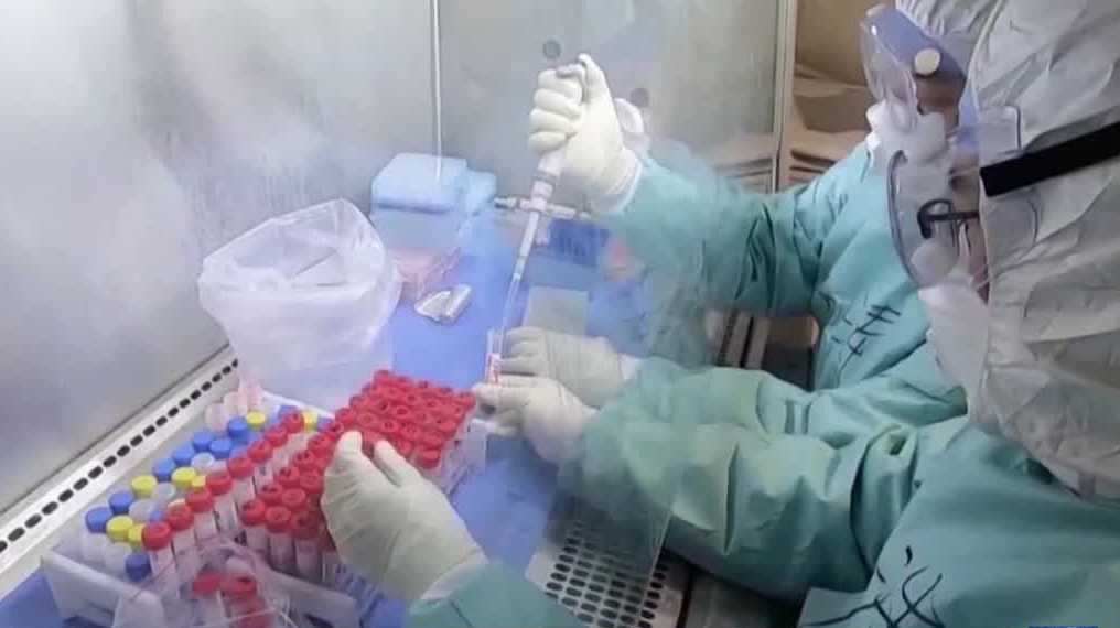 COVID-19 ‘superdodgers’: are they real and could genetics play a role?