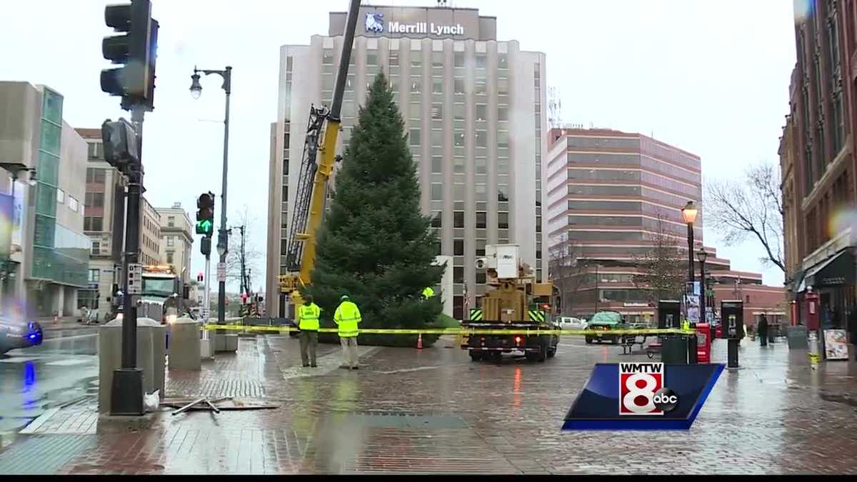 Portland's Christmas tree arrives in Monument Square