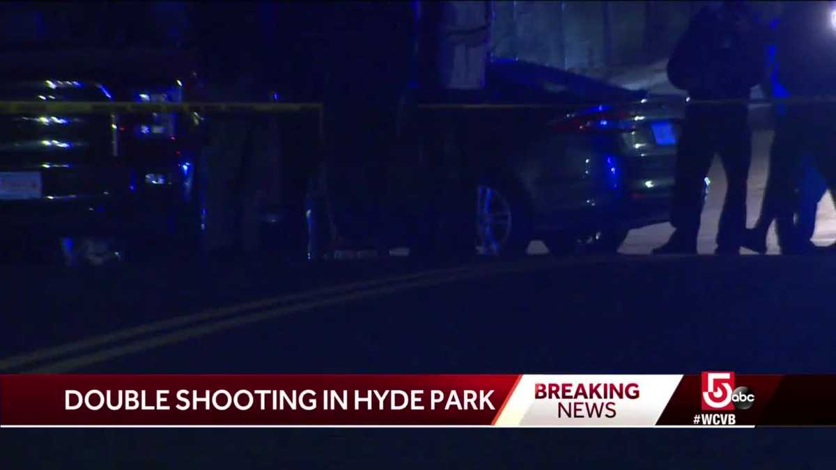 2 shot near playground in Hyde Park
