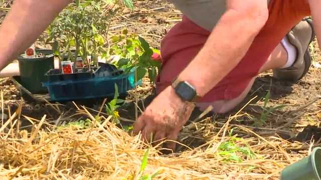 Jumping worms found in 12 Iowa counties - Vimarsana News