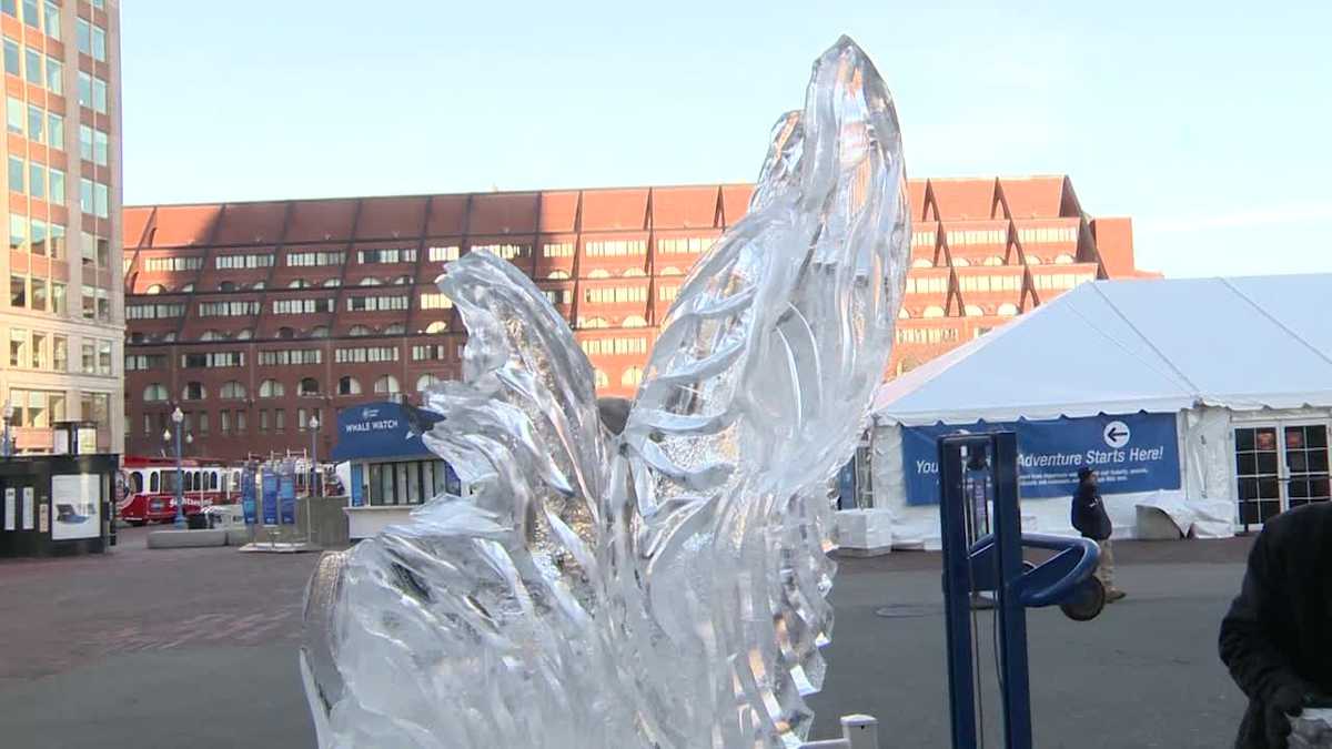 Ice sculpture of giant turtle makes debut