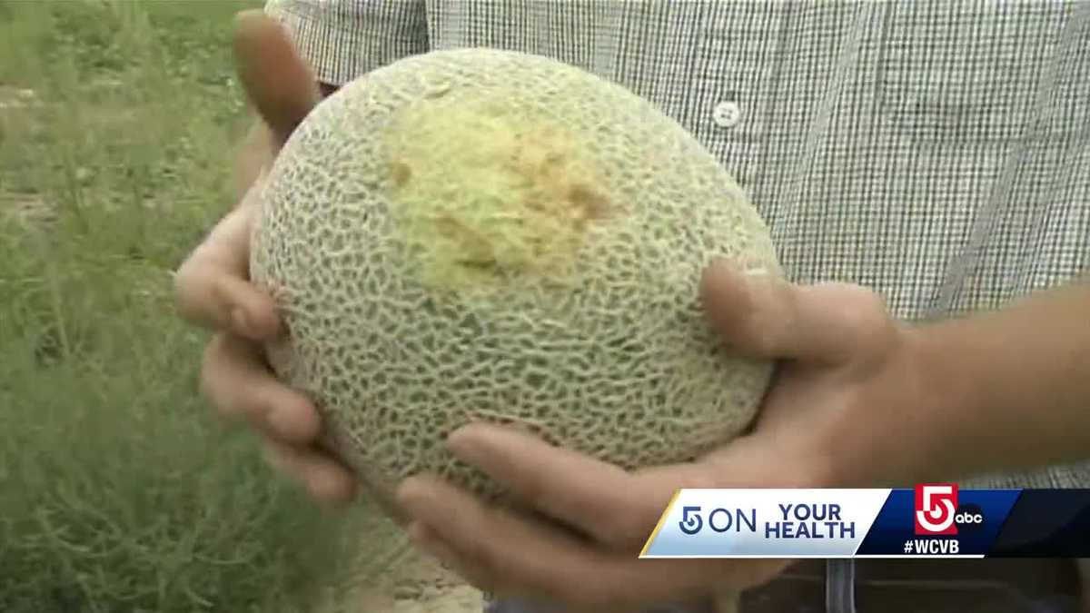 Doctor answers questions about salmonella outbreak linked to cantaloupe