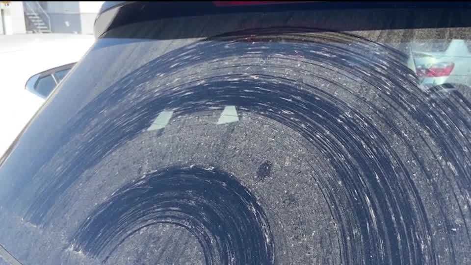 Pollen count today in Orlando Spring allergies hit hard