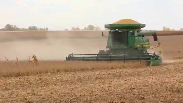 iowa soybean farmers say us–china deal is encouraging, hope for stronger trade relationships
