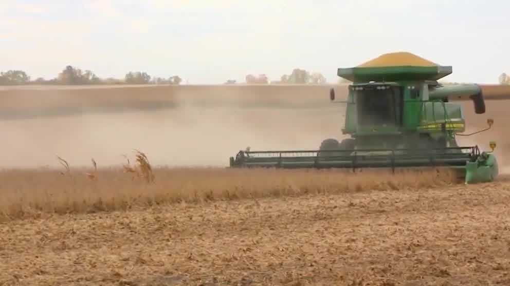 Iowa soybean farmers say US–China deal is encouraging, hope for stronger trade relationships