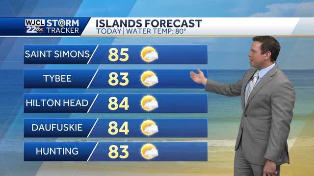 Warm and humid weather in the forecast and rain likely by Friday - Vimarsana News