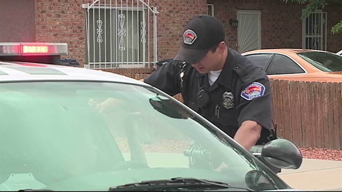 How many police officers does APD have?