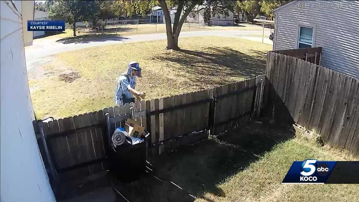 Video exhibits mail provider pepper spraying canine inside gate