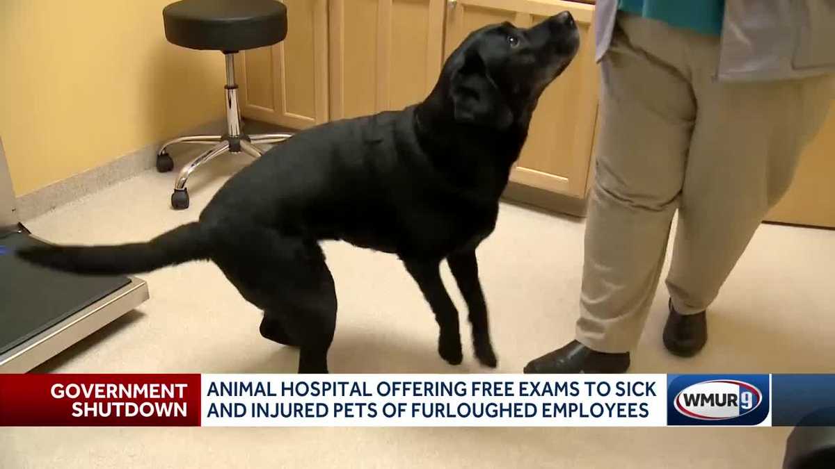 Free pet exams offered for furloughed federal workers