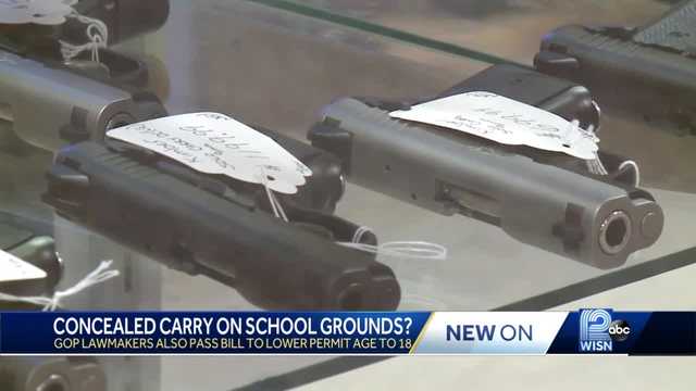 Assembly passes GOP-backed proposals to expand gun rights - Vimarsana News