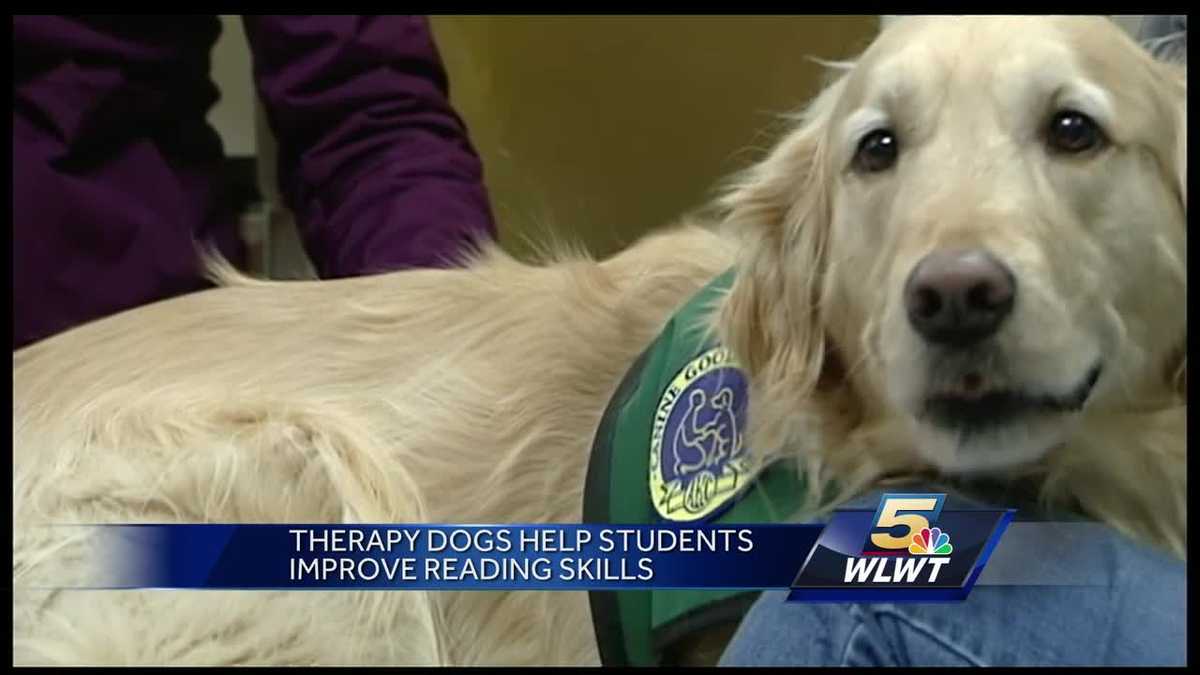Dogs help Cincinnati children become confident readers