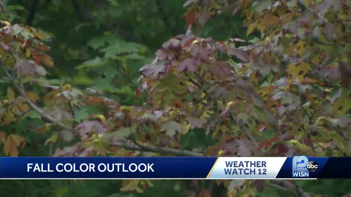 Fall colors are just around the corner