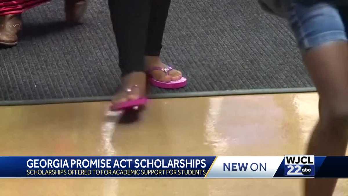 Georgia Promise Act offers new education opportunities for Southeast ...