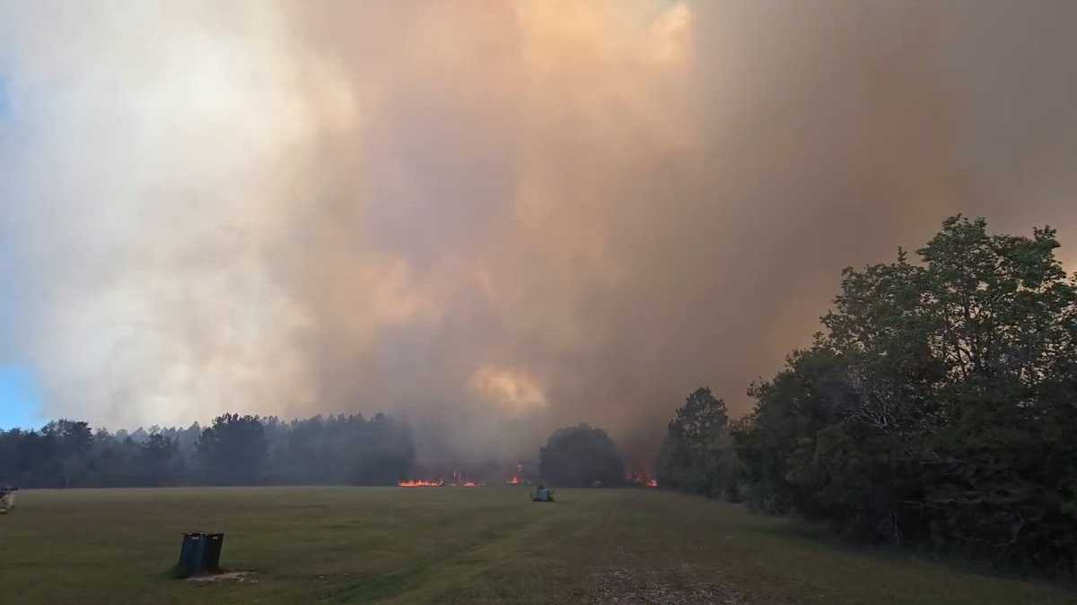 St. Tammany fire crews on scene of large woods fire