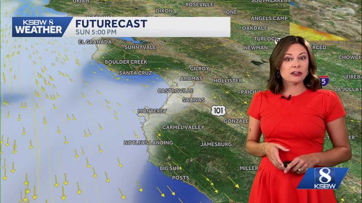 Pleasant for father's day and first day of summer