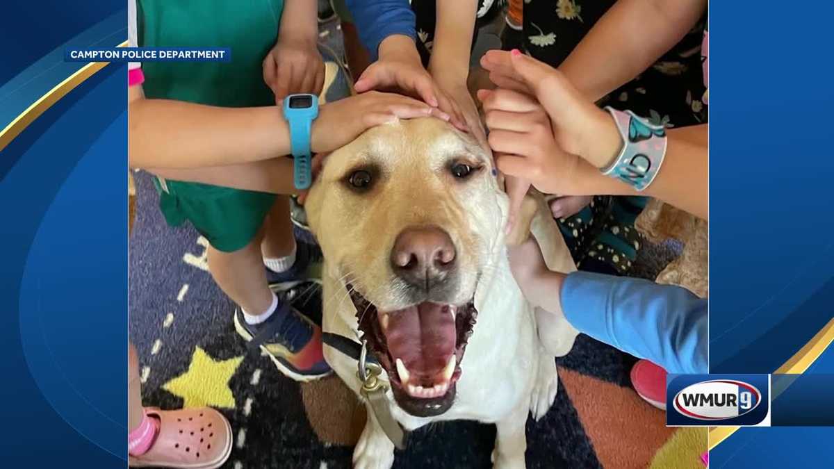 Campton Police Department comfort dog K9 to the force