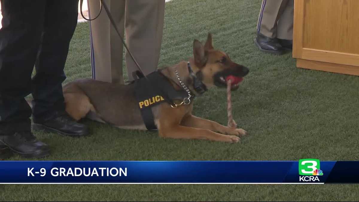 New Class Of K 9 Officers Graduate