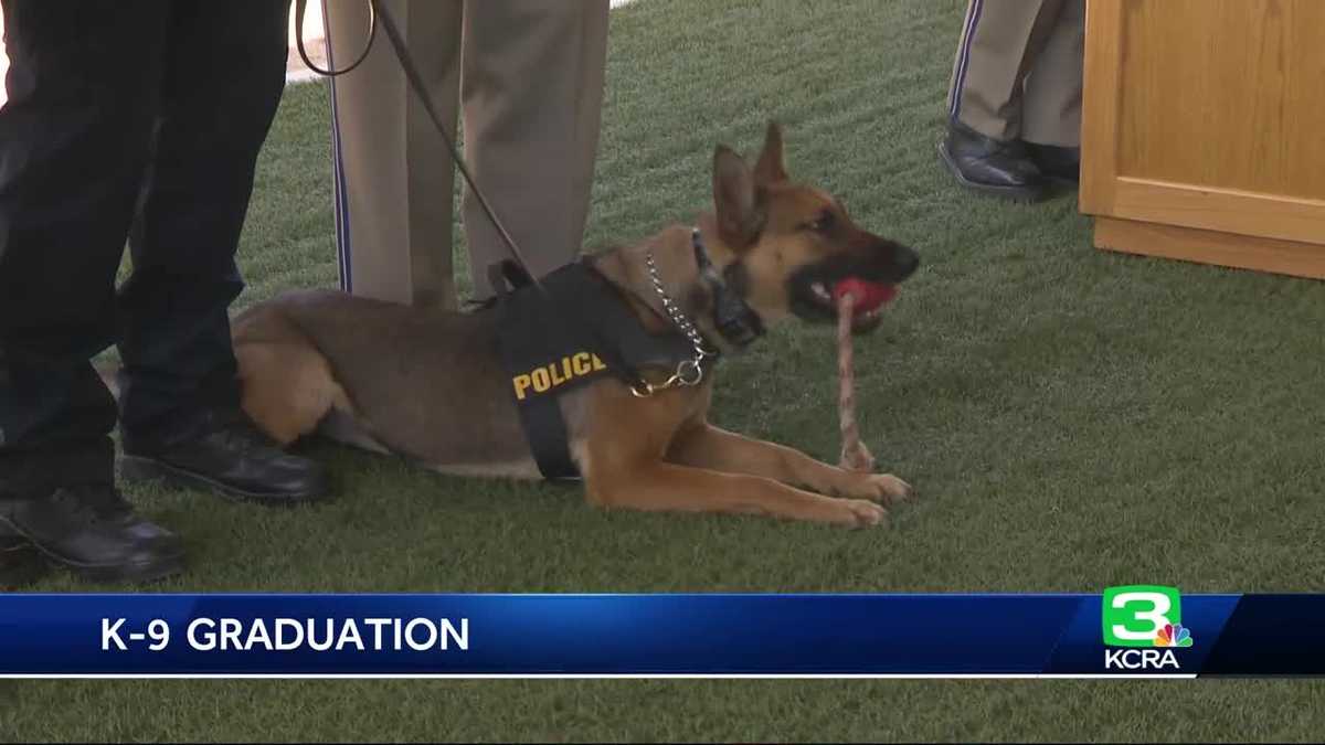 New class of K9 officers graduate