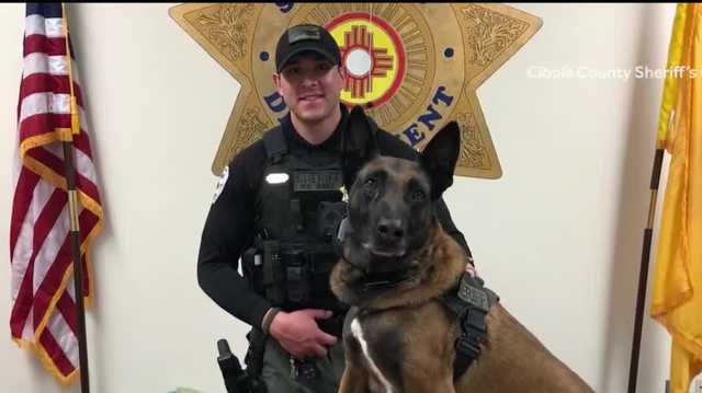 Cibola County Deputy and K-9 seize more than $6M worth of drugs - Vimarsana News