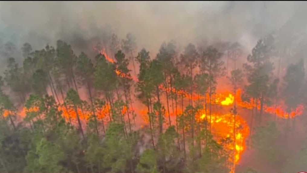 Florida wildfires: Officials issue burn ban due to dry conditions