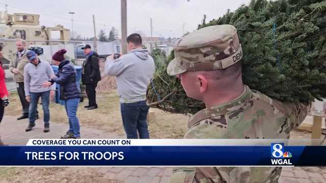 Trees for Troops weekend is underway in Pennsylvania - Vimarsana News