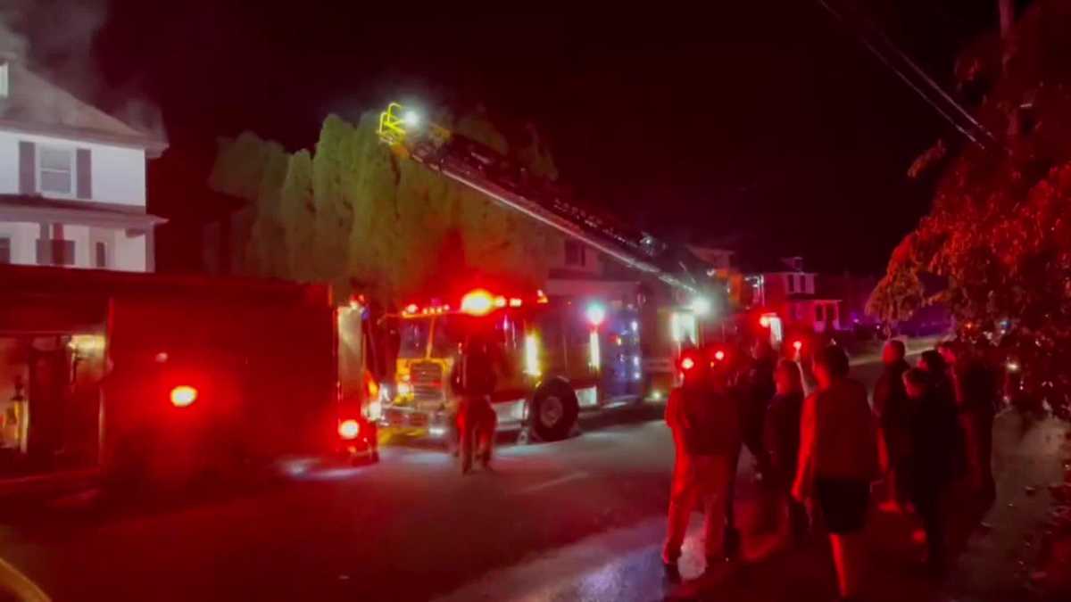 Firefighter injured, cats killed in late-night house fire in Milford