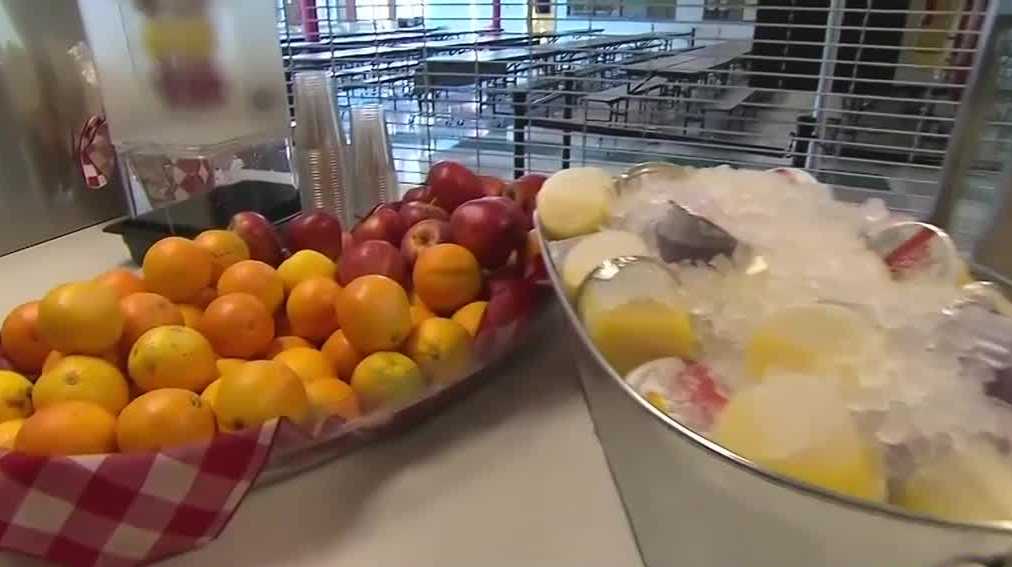 Help available for NH families as school lunch programs end for summer - Vimarsana News