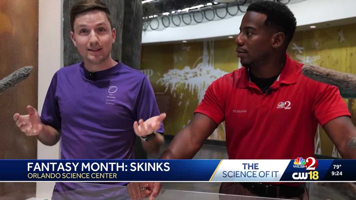 From Dinosaurs to Dragons: Meet the Skinks of the Orlando Science Center