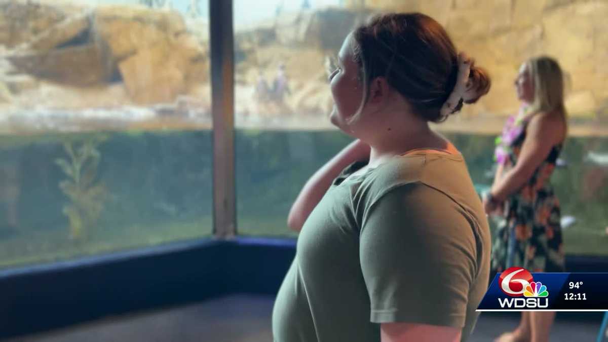 Independence girl's dream to go to Hawaii granted by Make-A-Wish
