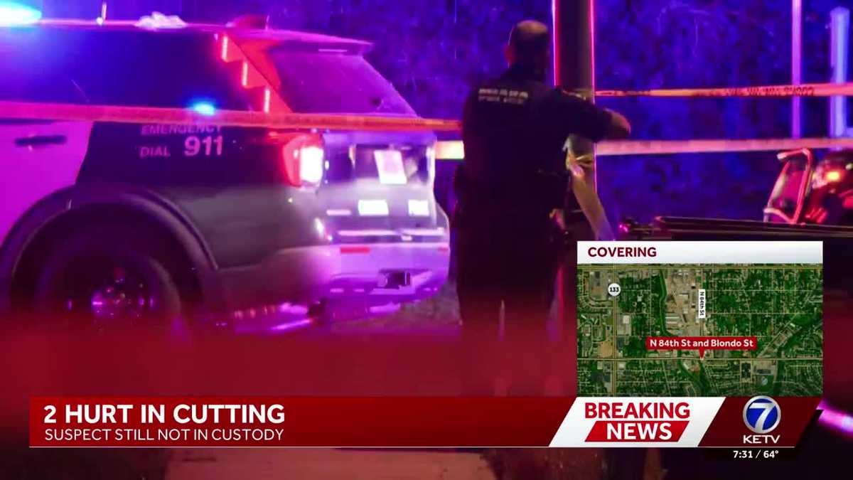 Assault News Image