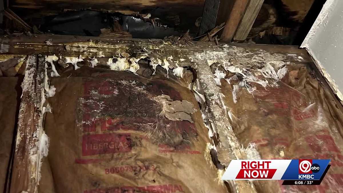 Kansas lawmakers push renter protections after Gardner apartment crisis