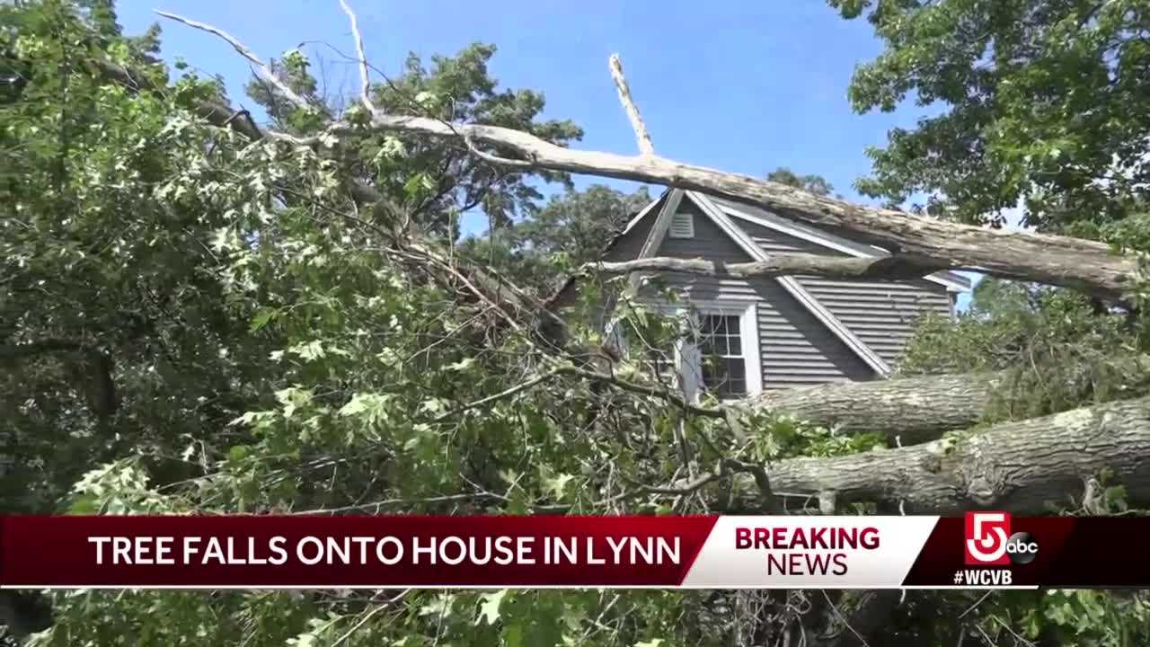 Large Tree Falls Onto House In Lynn